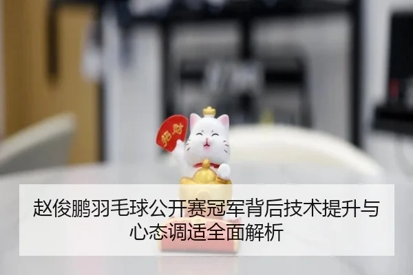 赵俊鹏羽毛球公开赛冠军背后技术提升与心态调适全面解析
