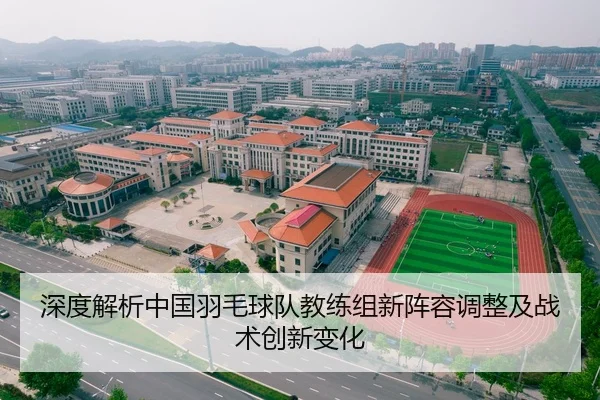 深度解析中国羽毛球队教练组新阵容调整及战术创新变化
