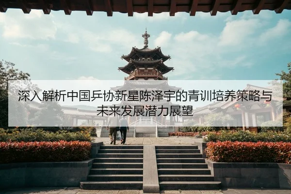 深入解析中国乒协新星陈泽宇的青训培养策略与未来发展潜力展望